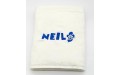 Name with Mickey towel