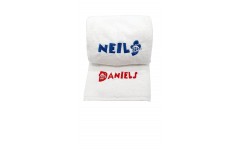 Name with Mickey towel