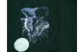 Mooncat Glow in the dark towel