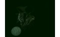 Mooncat Glow in the dark towel