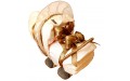 Gold Baby Nappy PRAM